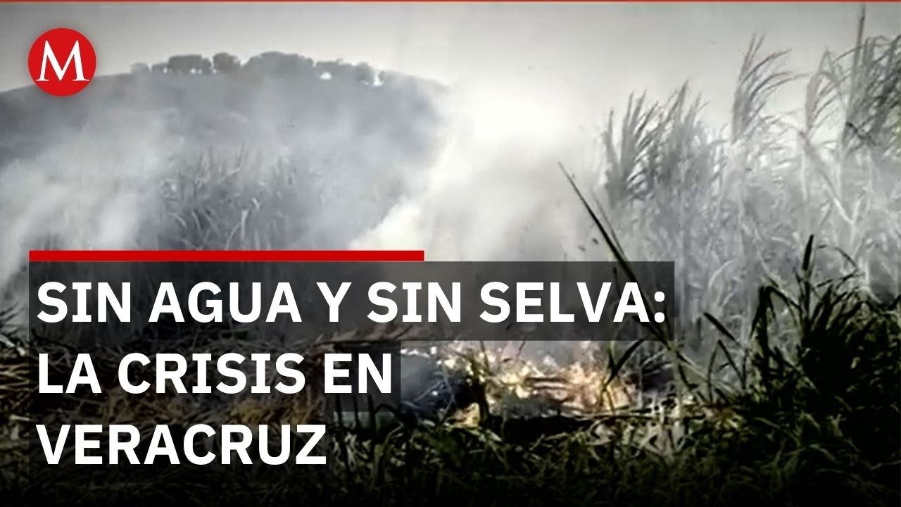 Caza y tala ilegal acaban con la Reserva de la Biosfera de Los Tuxtlas