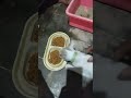 kucing 27 Oktober 2025