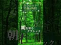 朝を彩るクラシック #classic #クラシック #bgm #piano