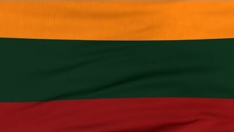 National Flag Of Lithuania Flying On The Wind | Motion Graphics - Videohive template