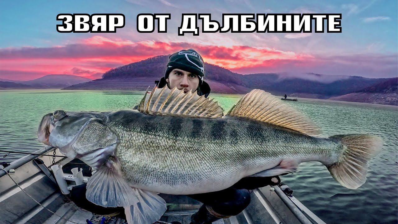 ОГРОМНА БЯЛА РИБА от ДЪЛБИНИТЕ на КЪРДЖАЛИ