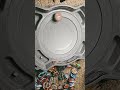 Round 1 Burst Vs. X Surge Xcalius Vs. Bite Croc #beyblade #beybladex #beybladeburst