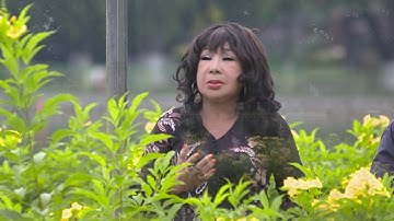 Tân cổ giao duyên Ru Lại Câu Hò   Song ca NS Tuyết Hoa & Vương Chí Thanh