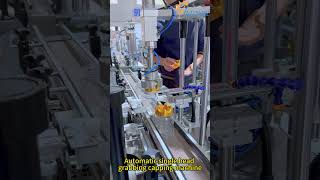 Automatic Monoblock Capper: Efficient Single-Head Grabbing & Tightening Machine for Various Caps