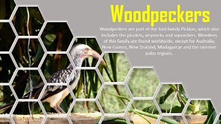 Powerpoint Slide Design Tutorial Hexagon Shape Video Background Effect Ppt Presentation Skills