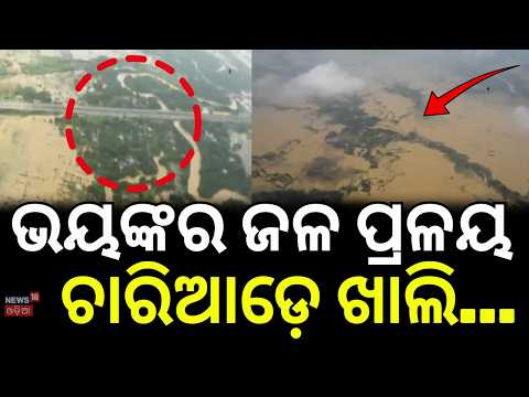 ଭୟଙ୍କର ଜଳ ପ୍ରଳୟ ଚାରିଆଡ଼େ ଖାଲି...Flood Crisis in Odisha | Flood Relief | Flood Update | Odia News