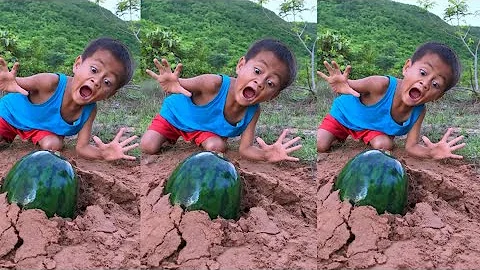 Survival Skills: Simple but useful ideas #survival #outdoors #camping #forest #bushcraft 