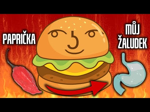 Video: Kteří Ptáci Létají Z Jihu úplně První