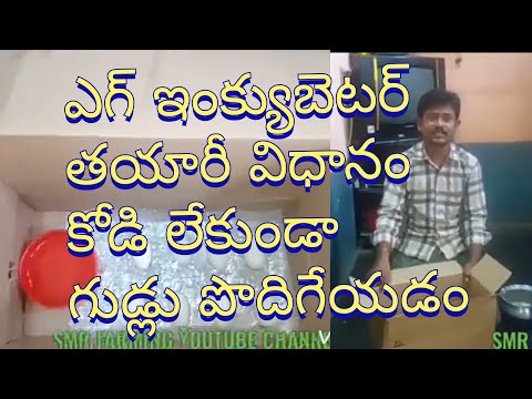 ఇంక్యుబేటర్ తయారీ విధానం కోడి లేకుండా గుడ్లు పొదిగేయండి ఇలా