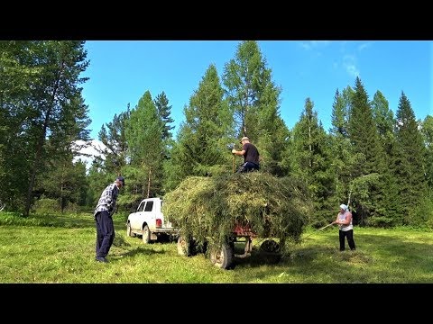 Опять на сенокосе