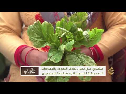 هذا الصباح - "عيادات النبات".. مشروع لدعم الزراعة العضوية بنيبال