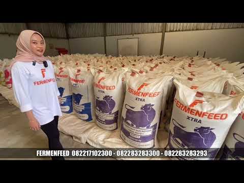 Konsentrat Kambing Paling Bagus