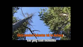 Indonesia Ku Berkarya Hanya Untukmu  Ayu Tingting dangdutkoplo dangdutviral dangdutkoplo