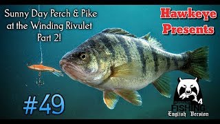 Russian Fishing 4 | #49 | Sunny Day Perch &amp; Pike at the Winding Rivulet - Part 2!