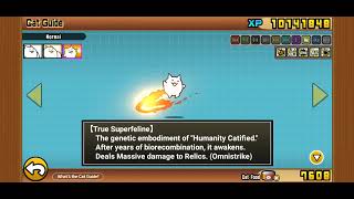 Finally getting Superfeline's True Form after so long Battle Cats
