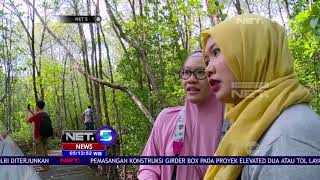 Keindahan Hutan Mangrove Karimun Jawa - NET5
