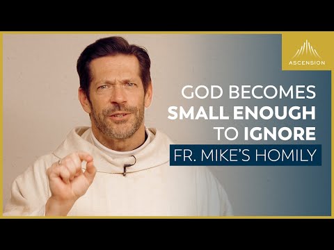 Homily by Fr. Mike Schmitz