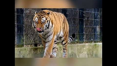 PSEB CLASS 5 MY WORLD, Lesson 6 Earth Our Home Too