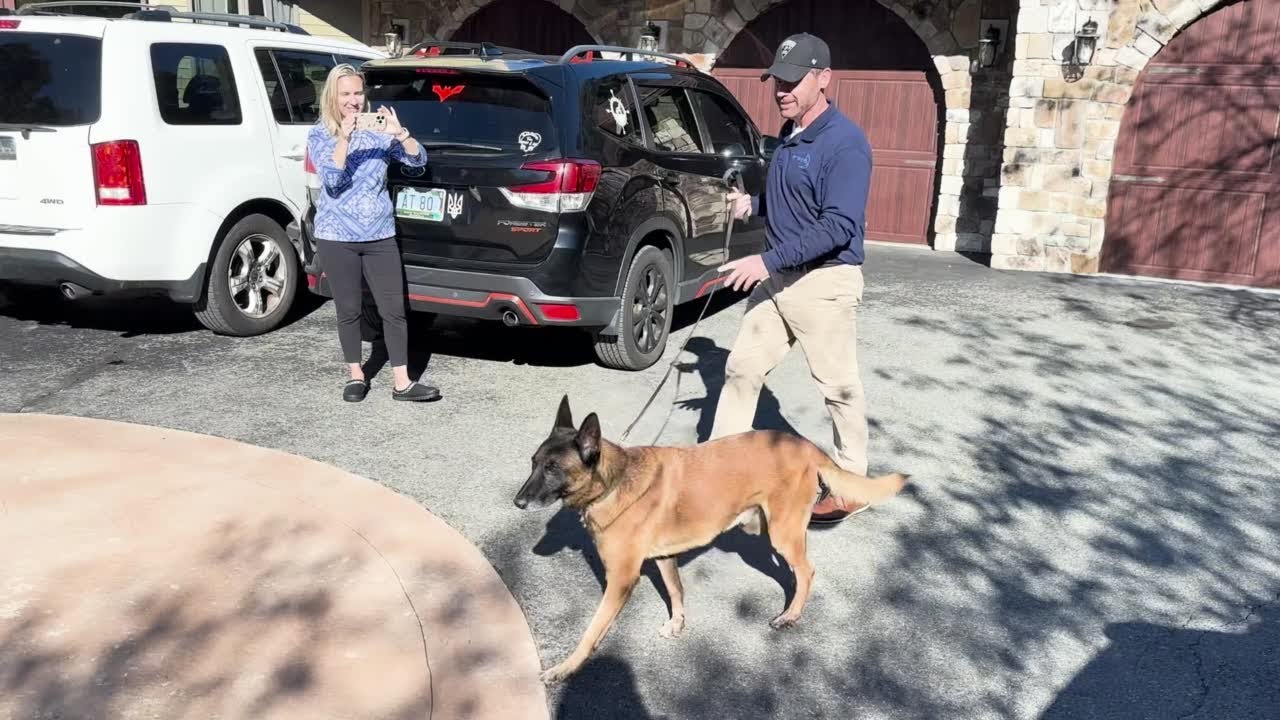 Retired military K-9 reunited with handler after 6 years apart - YouTube