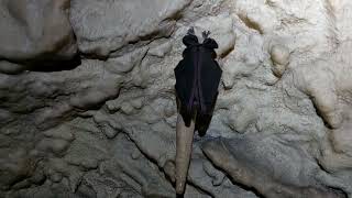 Лаго-Наки,пещера Любава