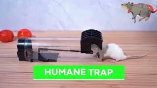 Hasthip Rat Trap Cage For House Garden Patio, 32 Cm Humane Mouse Trap Cage.