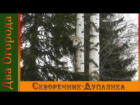 Скворечник дуплянка своими руками