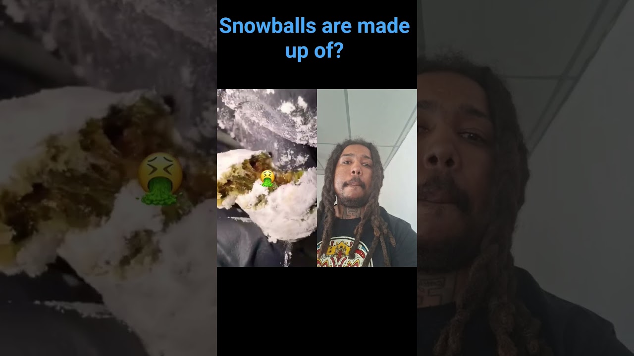 what are snowballs made up of? 