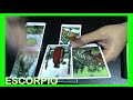 ESCORPIO TAROT ~ EL DINERO SE ACERCA Y LA SUERTE ESTA DE TU LADO