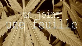 #Unjointunefeuille #Rachiday - La weed