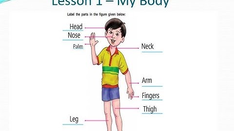 Class 3 : Lesson 1 - My Body - BPDAV