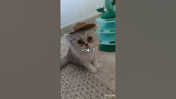 أحترم القران الكريم