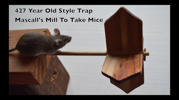 13inch Rolling Log Mouse Trap Rat Bucket Trap Humane Catch or Kill Spinning Roller Trap