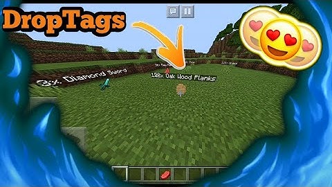 pocketmine plugins 1.14.60 | DropTags 3.0.0 1.15