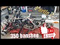 Vlog 350 banshee partie2 remplacement cloche hinson (voir description)