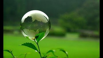 تلاوة القران الكريم  بصوت القارئ   *مقداد السامرائي*