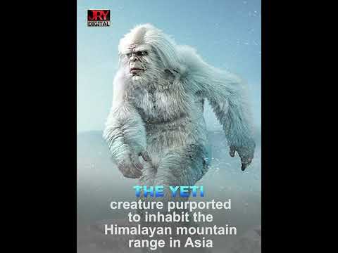 The Yeti: The Creature is commonly referred to as the Abominable Snowman