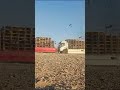 سباق الحمام الزاجل في مصر طيران الحمام الزاجل