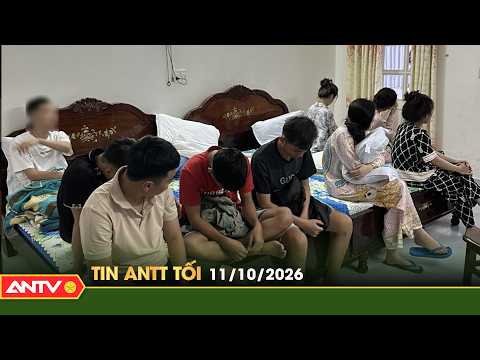 Hot Security and Order News, Latest Vietnam Current Affairs 24h, Evening of 10/11 | ANTV