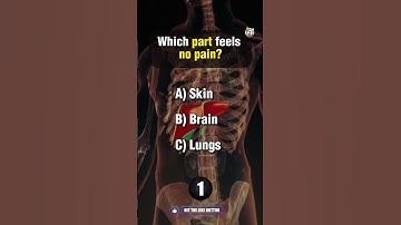 Ultimate Anatomy Quiz!