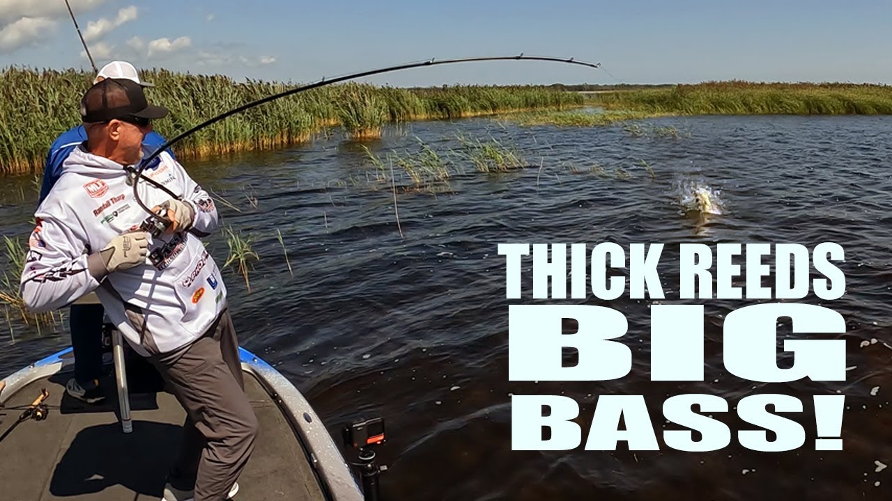 Using REAL Pro Tips to Catch Monster Bass!