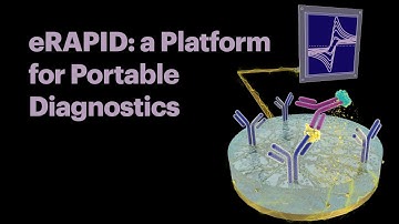 eRAPID: a Platform for Portable Diagnostics