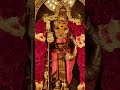 🌺முருகன் துணை🌺Tamil god murugan songs 🦚🦚 #shortsfeed #shorts #murugansongs  #muruganthunai  #murugan