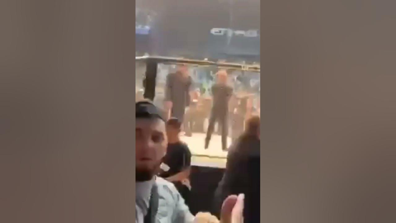 Хамзат Чимаев Абубакар Нурмагомедов