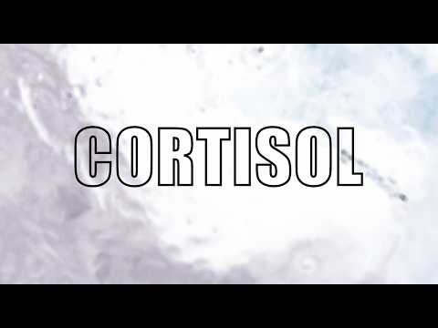 SareM - Cortisol [Visualizer]