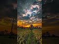 Beautiful Sunset in Nature 🌅 | Peaceful Village Cinematic Video 4K