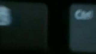 IMG 0223
