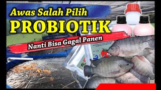 Jangan Gagal Bioflok Ikan Nila Nila Hanya Karena Tidak Paham Tentang Probiotik