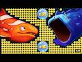 Fishdom 🐠Video [1.5] Hungry Fishs Gameplay | Ads Mini Games New Update 2026