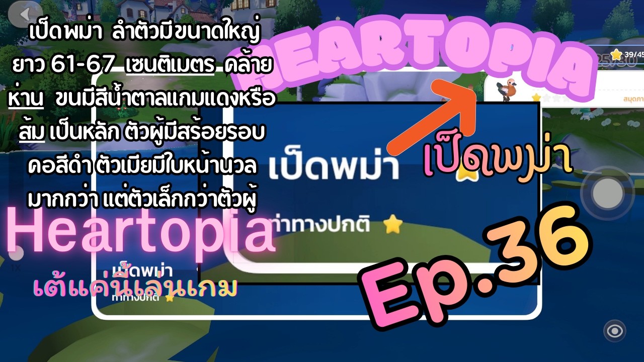 [Ep.36] Heartopia เป็ดพม่า | เต้แค่นี้เล่นเกม | 27-2-2026