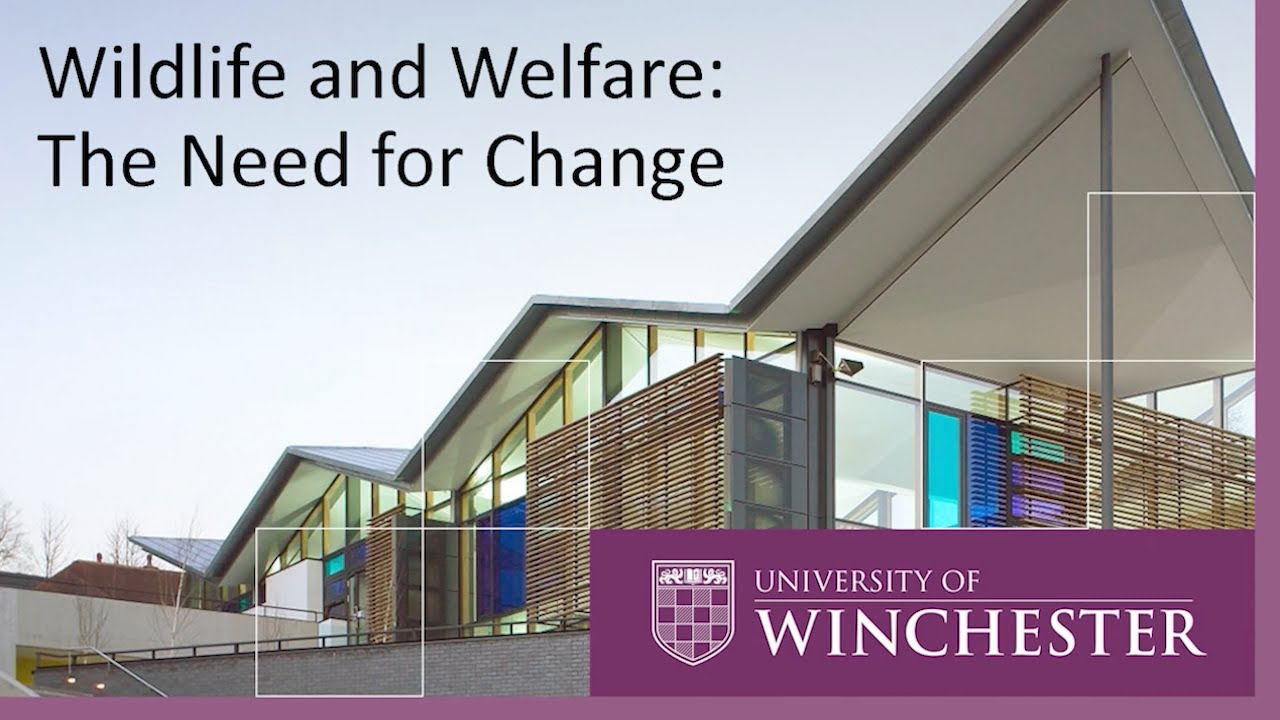 Wildlife and Welfare: the Need for Change